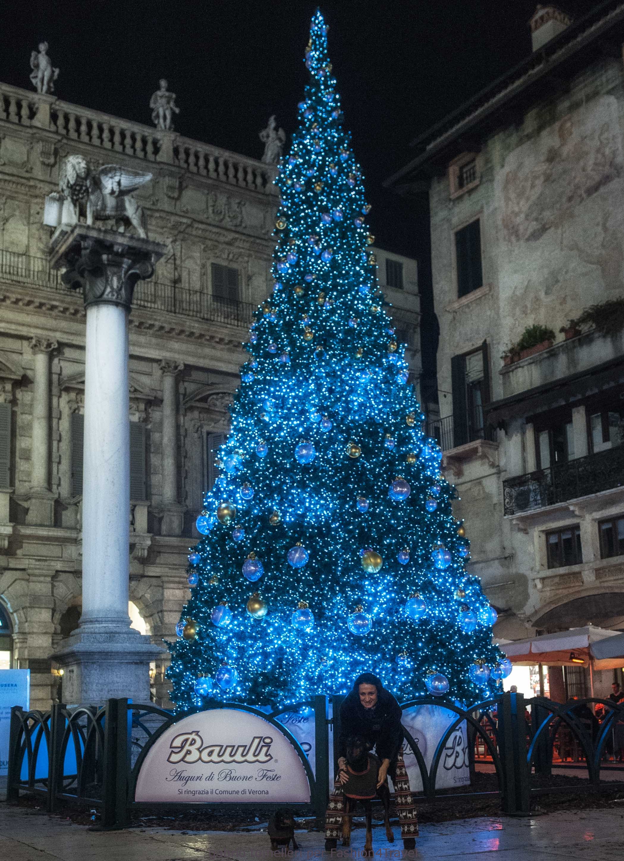 Natale a Verona night & day