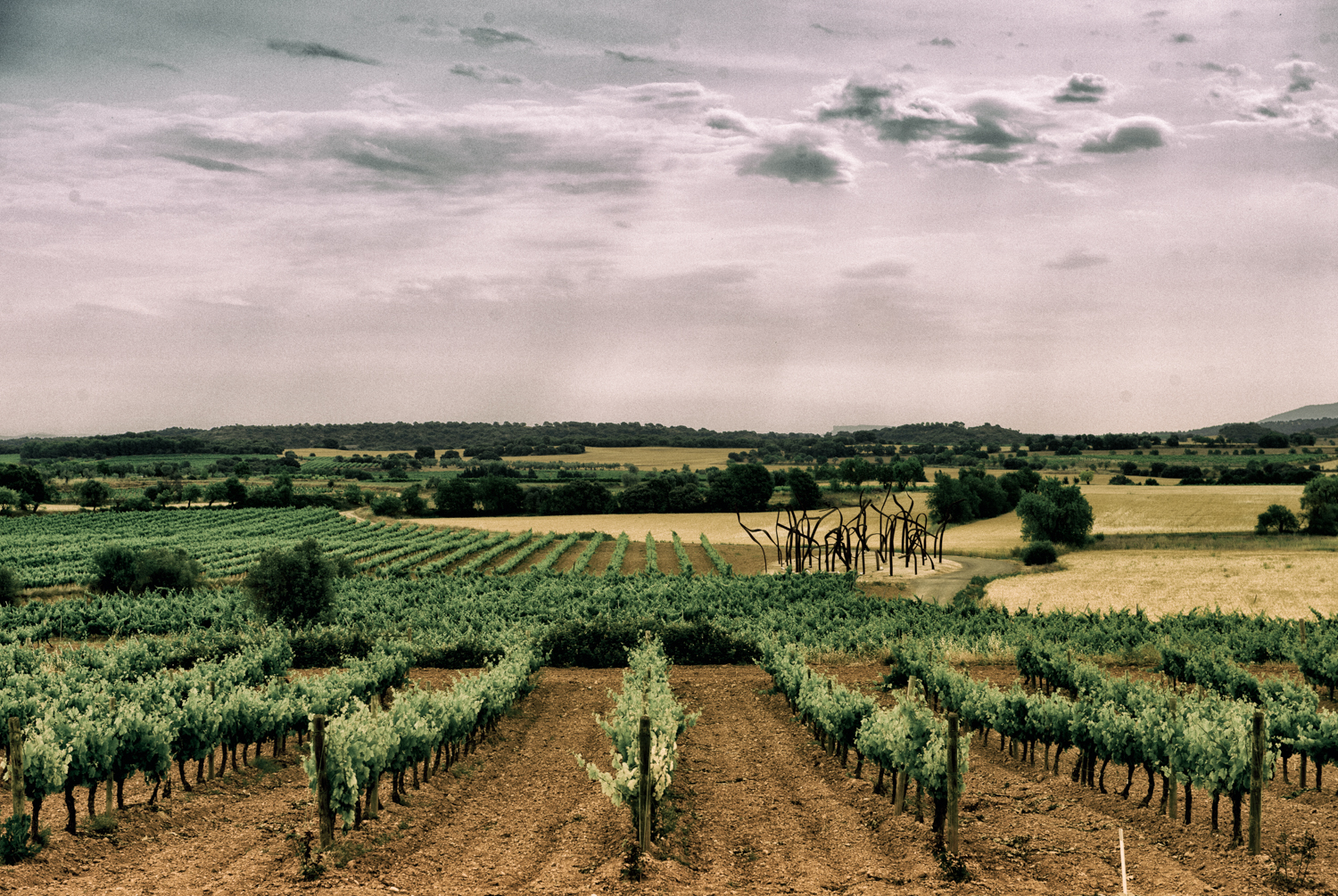 La Ruta del vino Somontano Aragona in Spagna enate